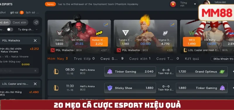 20 Mẹo Cá Cược eSport Hiệu Quả