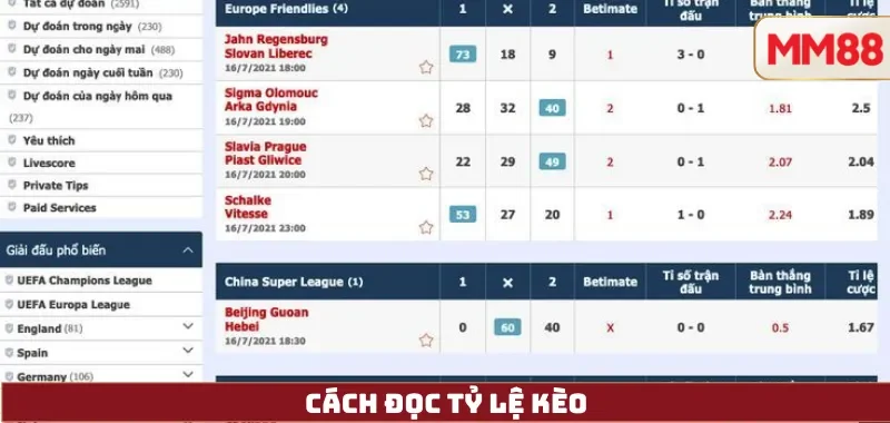 Cách đọc tỷ lệ kèo
